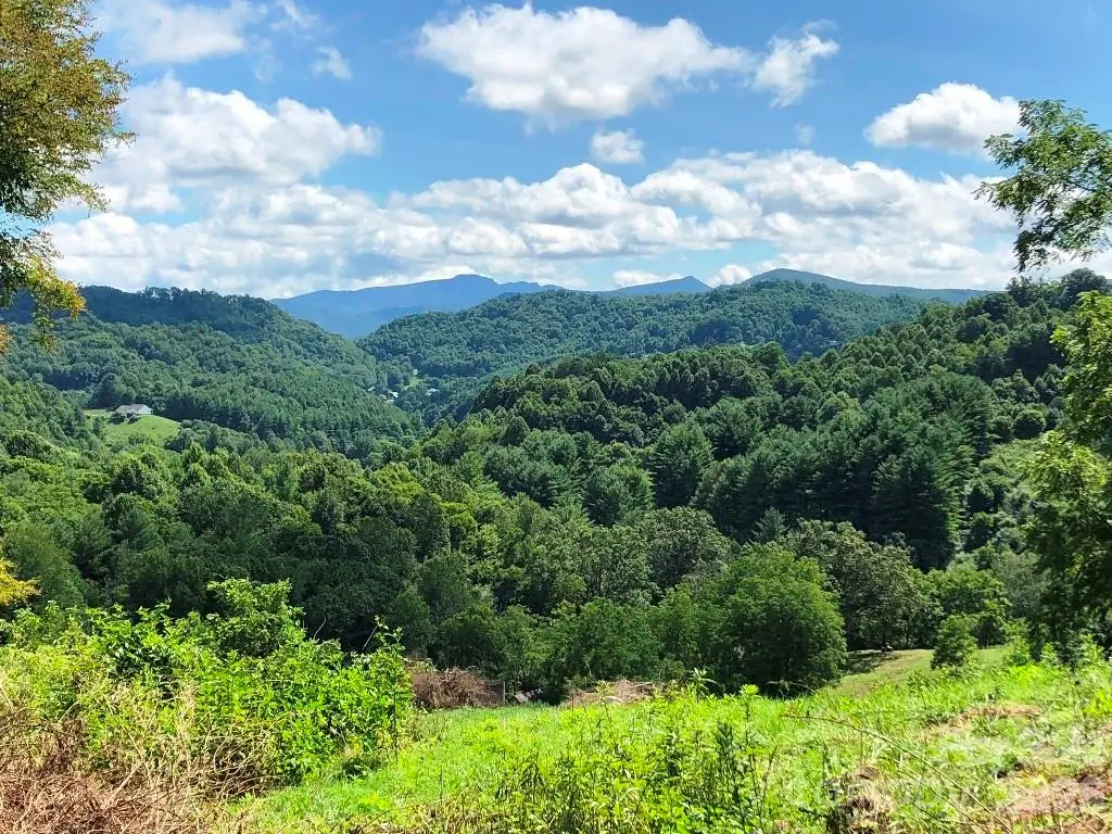 866 Georges Gap Road, Vilas, NC 28692 - #1