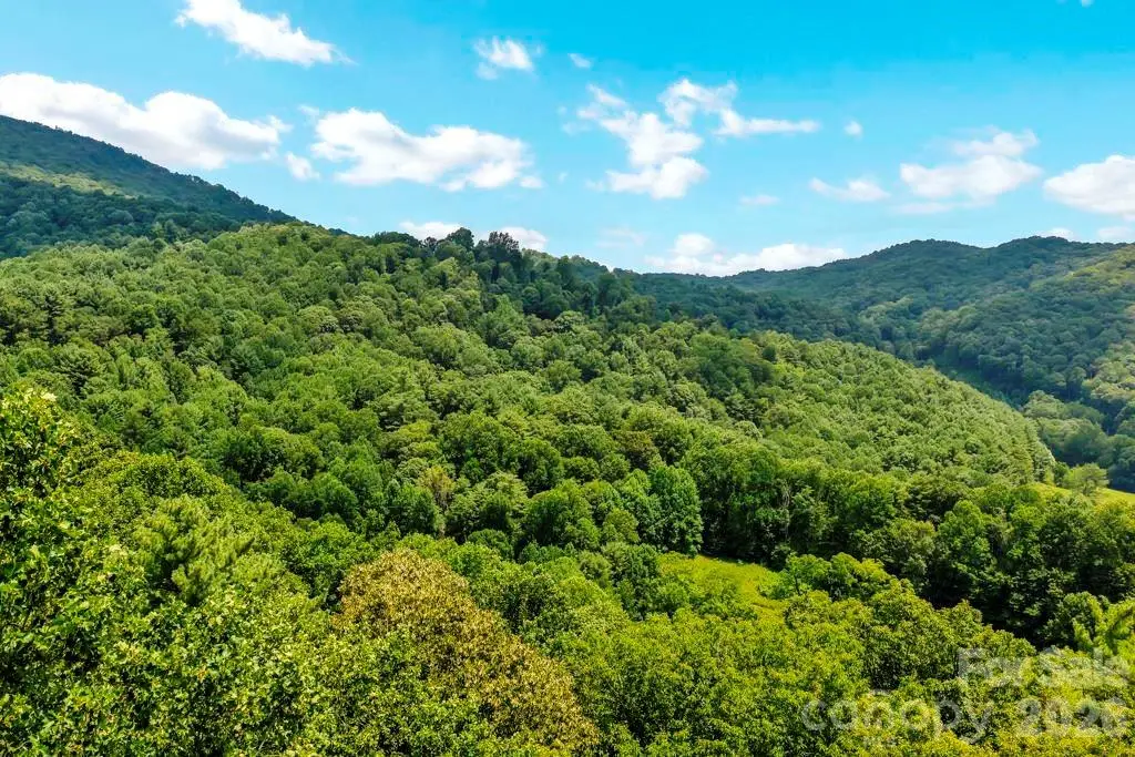 tbd Council Ward Road, Sugar Grove, NC 28679 - #1
