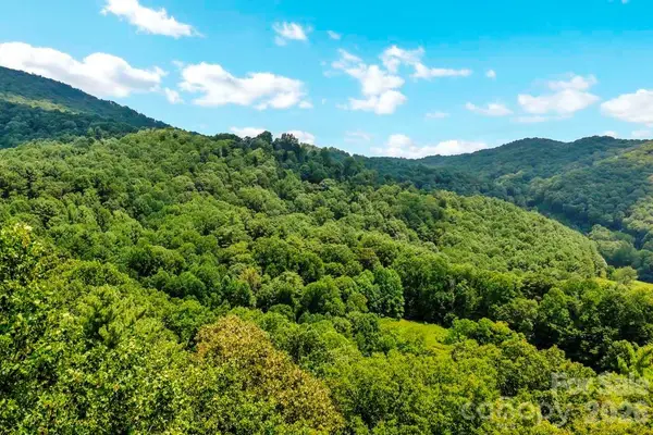 tbd Council Ward Road, Sugar Grove, NC 28679