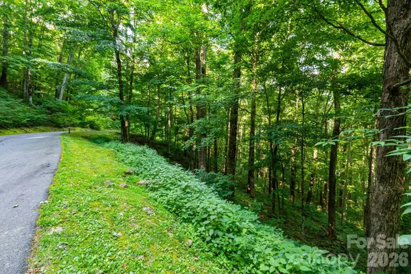 Lot 25 Finlaystone Trace #25, Waynesville, NC 28786