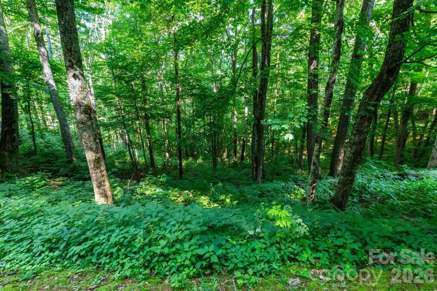 Lot 25 Finlaystone Trace #25, Waynesville, NC 28786 - #2
