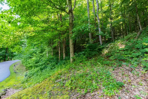 Lot 30 Finlaystone Trace #30, Waynesville, NC 28786
