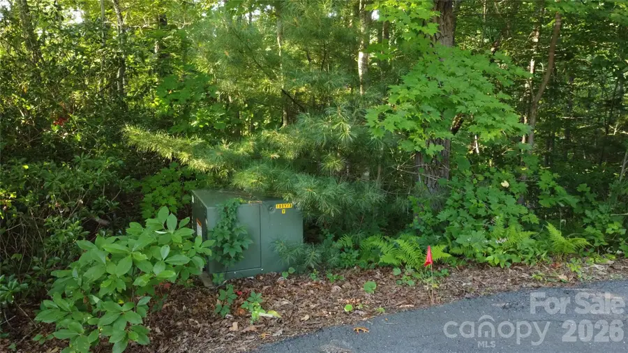0000 Havens Creek Road #4, Black Mountain, NC 28711 - #2