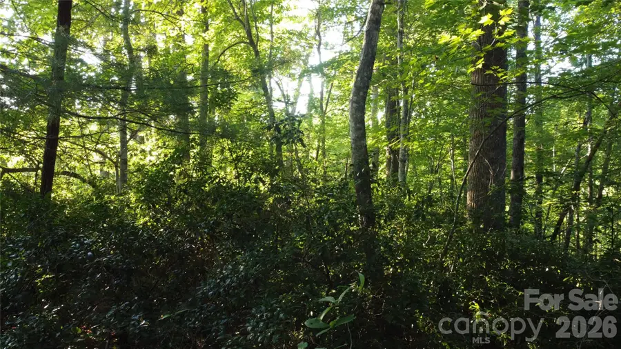 0000 Havens Creek Road #4, Black Mountain, NC 28711 - #3