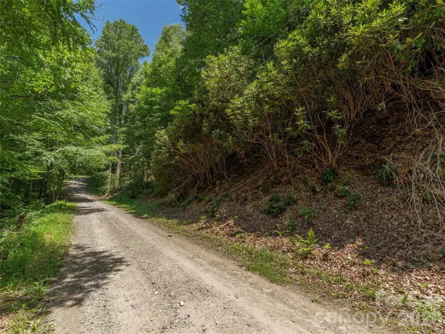 00 Rough Knob Road, Clyde, NC 28721 - #2