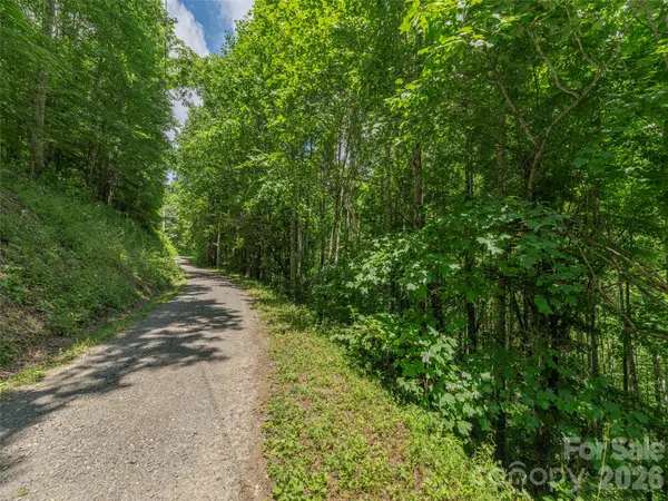 0000 Rough Knob Road, Clyde, NC 28721