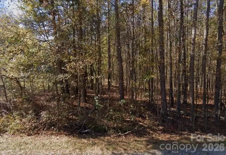 2804 Forest Lawn Drive, Weddington, NC 28104 - #1