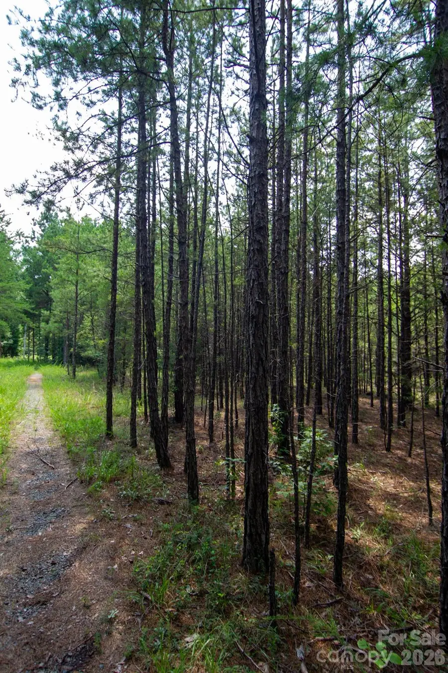 2682 Cold Springs Road, Concord, NC 28025 - #3
