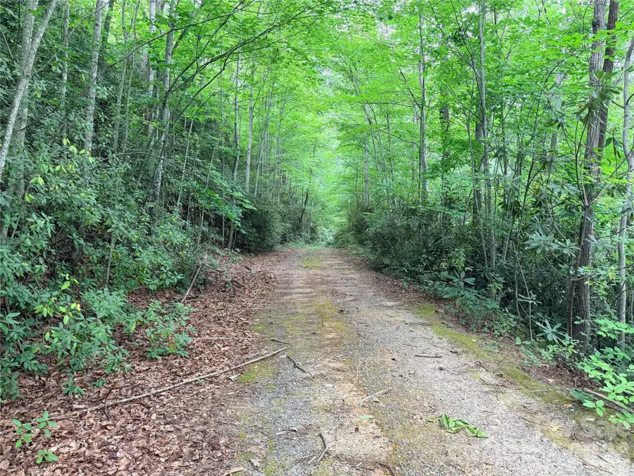 0 Harrison Drive, Lake Lure, NC 28746 - #3