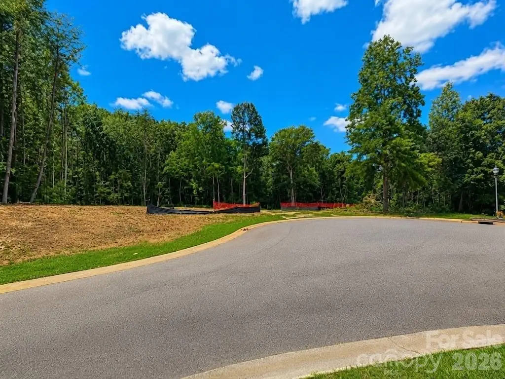 3533 Manna Lane, Riverbend, NC 28120 - #1