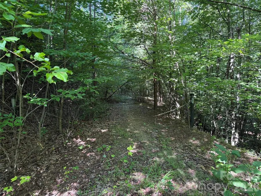 TBD Casey Mountain Road #222, Purlear, NC 28665 - #3