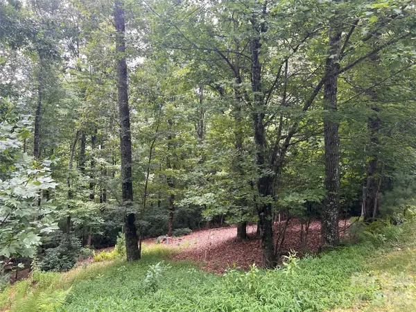211 Tom Fazio Trace, Hendersonville, NC 28739