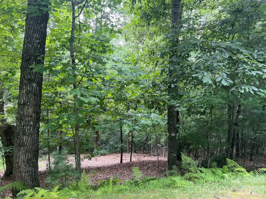 211 Tom Fazio Trace, Hendersonville, NC 28739 - #2