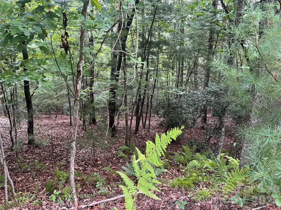 211 Tom Fazio Trace, Hendersonville, NC 28739 - #3