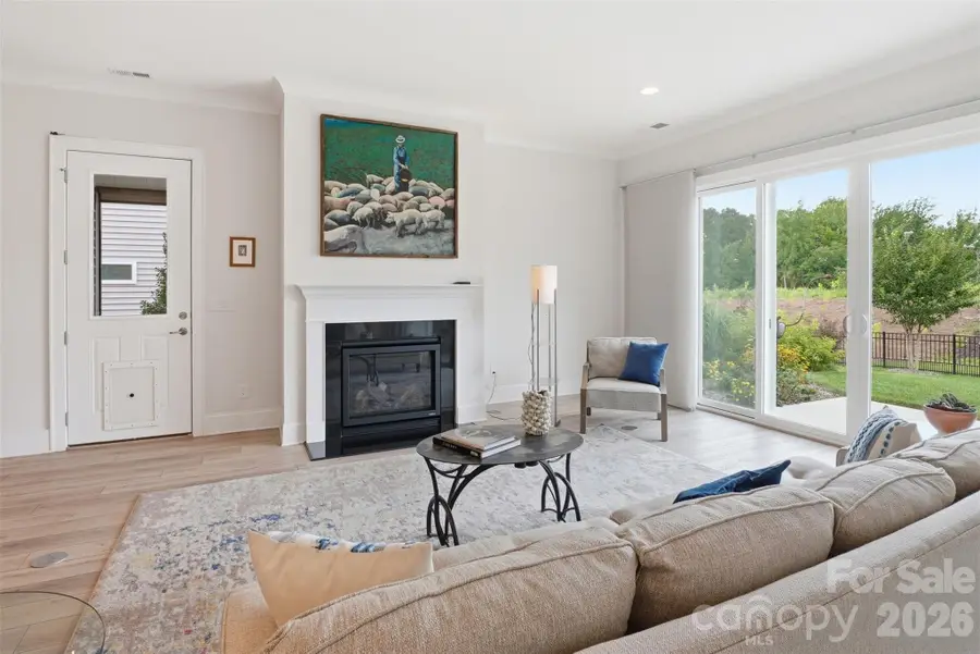 14015 Cameryn Elise Drive, Cornelius, NC 28031 - #2