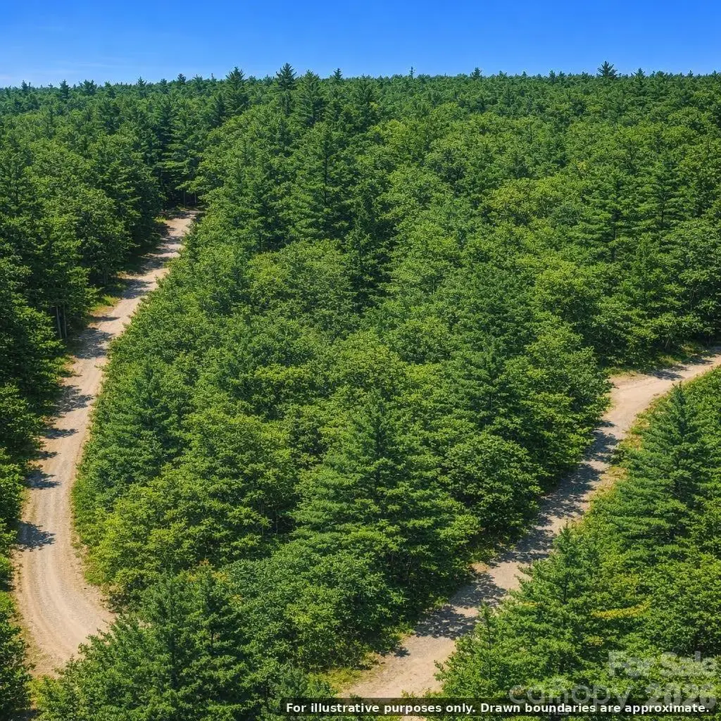Lot 124 Trellis Drive, Nebo, NC 28761 - #1