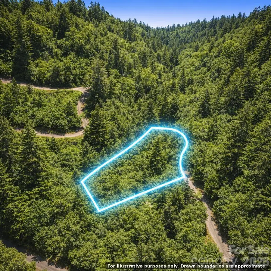 Lot 130 Trellis Drive, Nebo, NC 28761 - #3