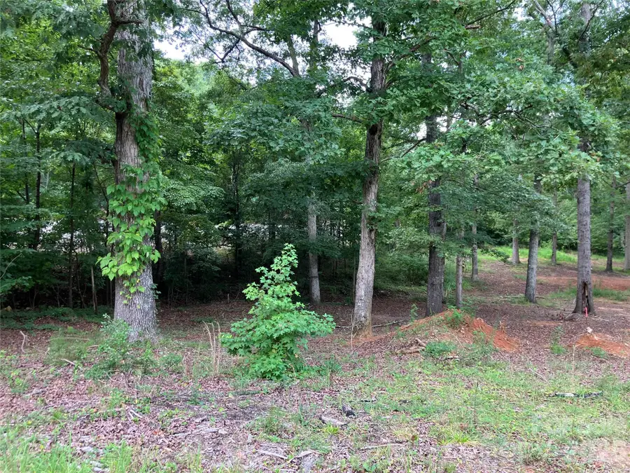 750 Hines Road, Mooresboro, NC 28114 - #2