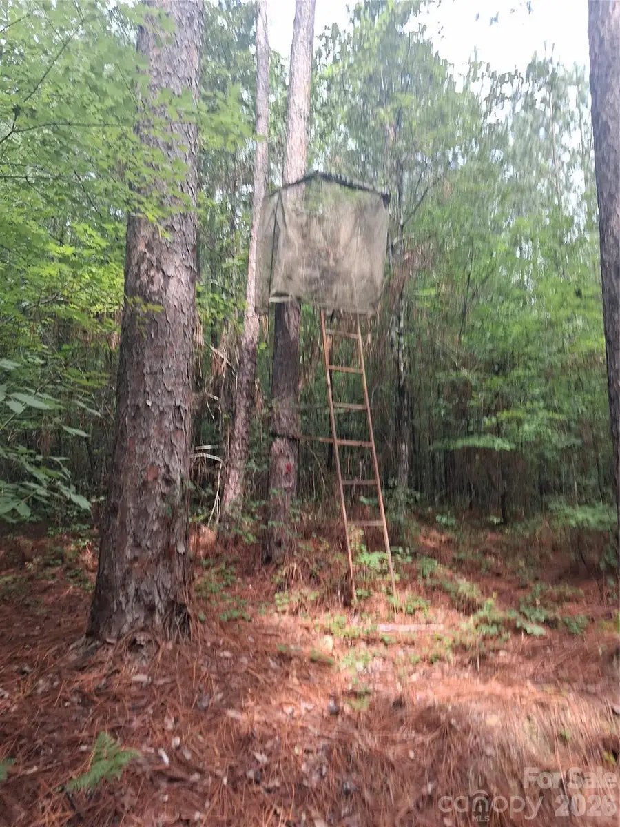0 Nc 109 Highway S, Mount Gilead, NC 27306 - #2