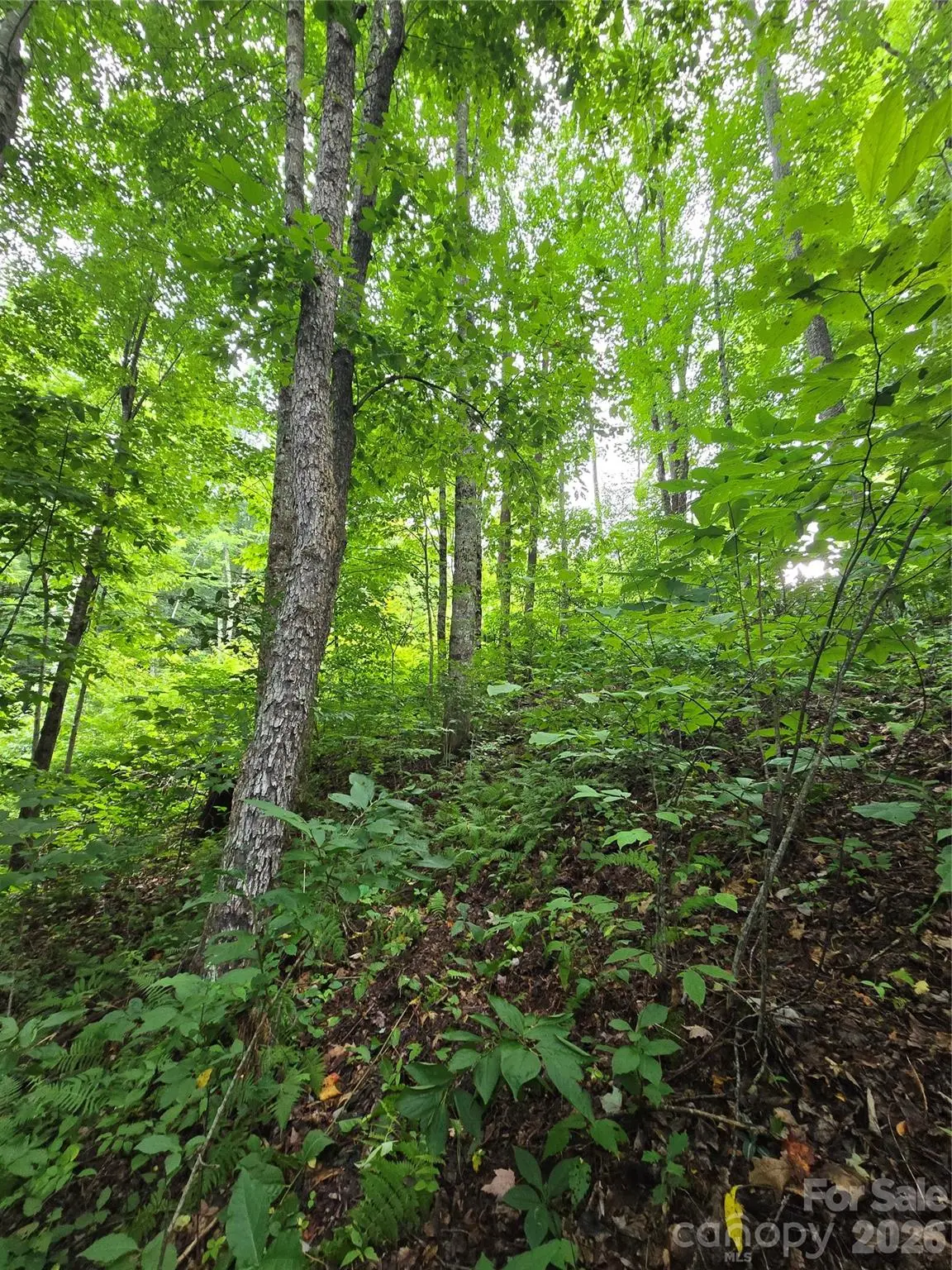 108 Tenderfoot Trail #108 & 109, Maggie Valley, NC 28751 - #1