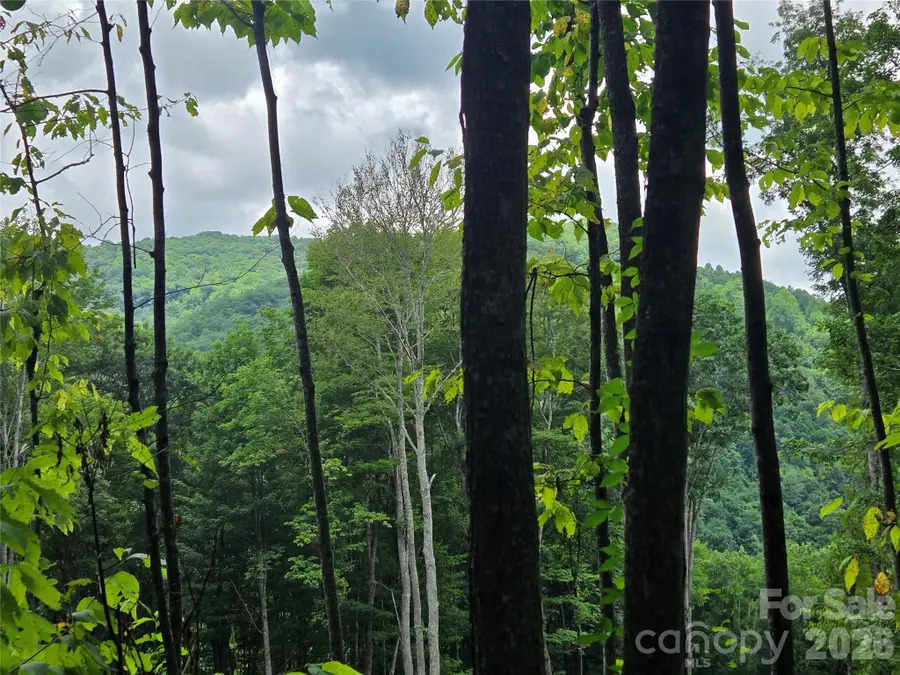 108 Tenderfoot Trail #108 & 109, Maggie Valley, NC 28751 - #3