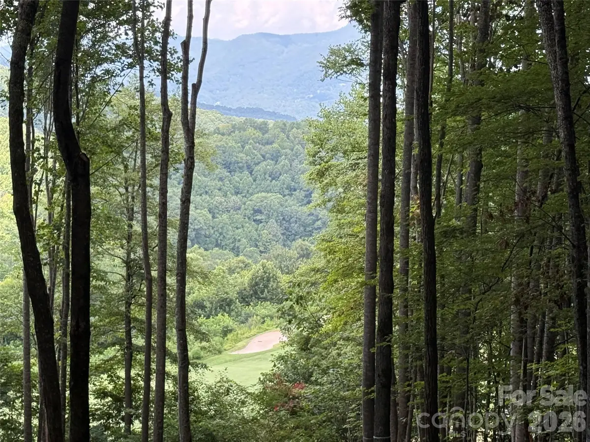 1781 High Line Road #63, Sylva, NC 28779 - #1