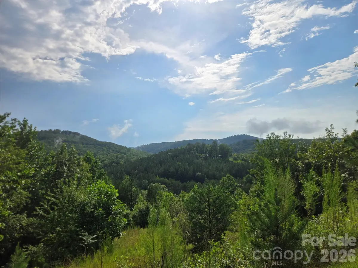 0 Pinegrove Drive #161, Bostic, NC 28018 - #1