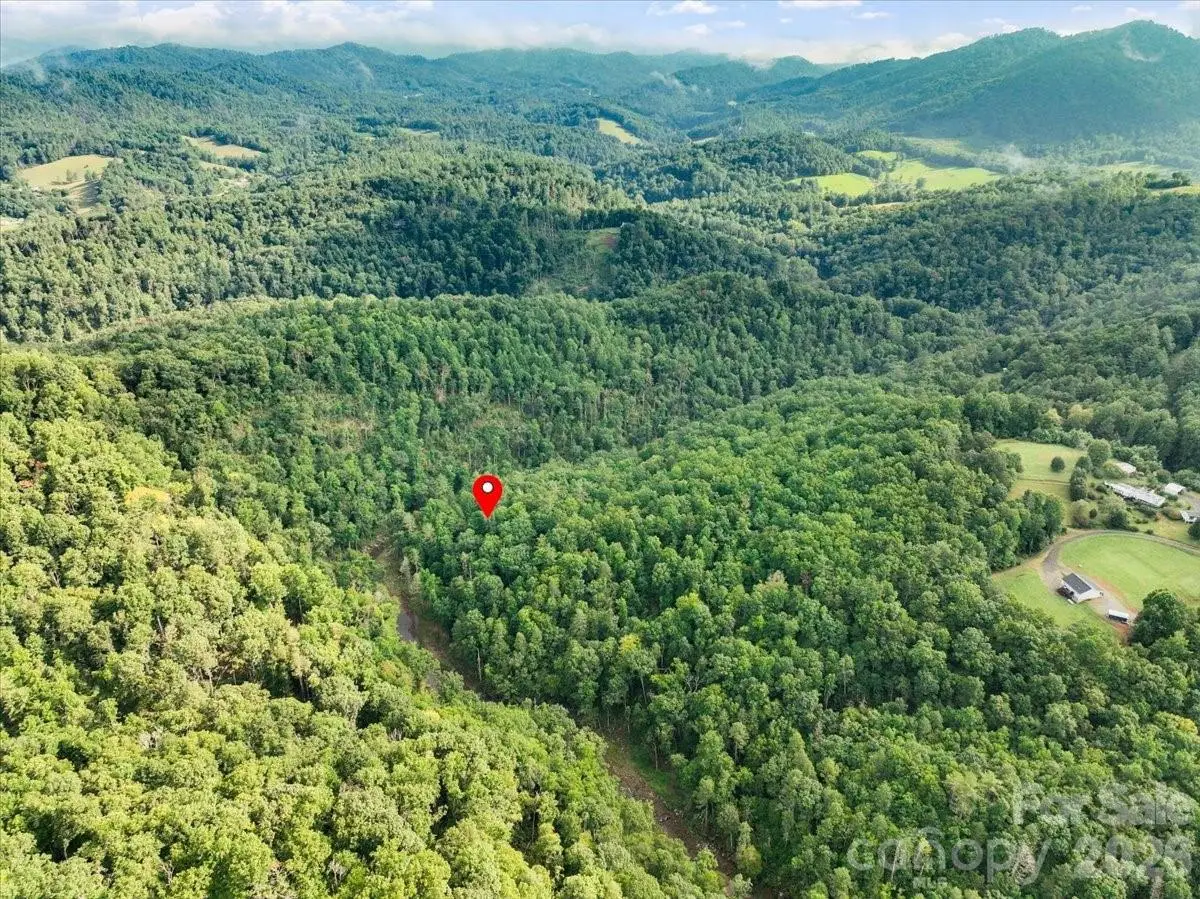 TBD Rabbit Hop Road, Spruce Pine, NC 28777 - #1