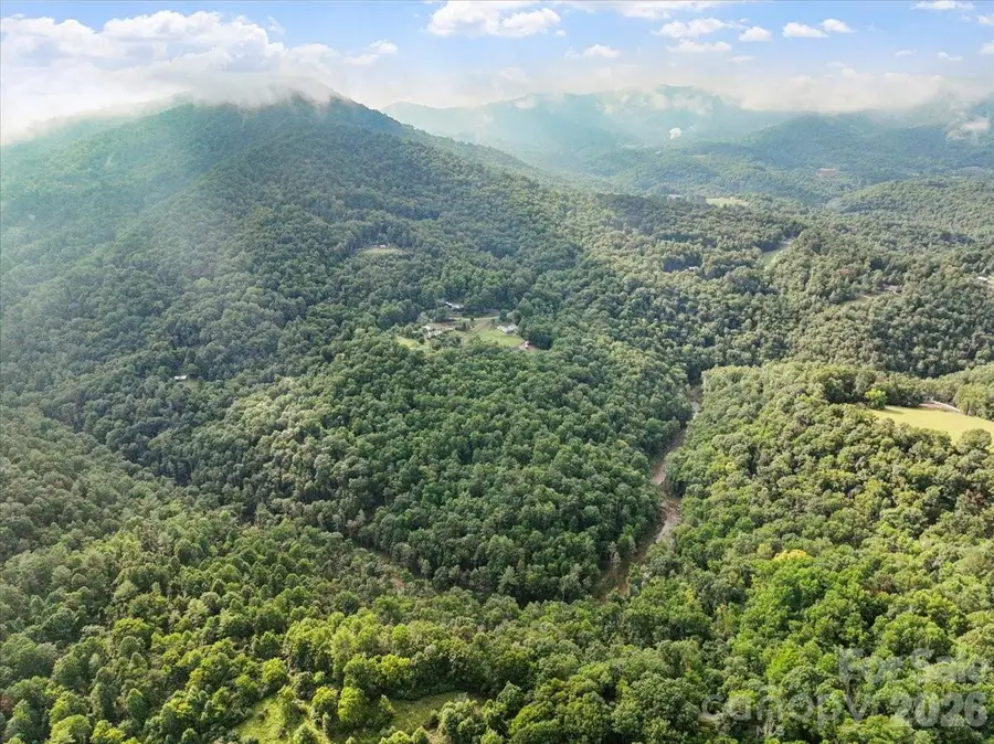 TBD Rabbit Hop Road, Spruce Pine, NC 28777 - #2