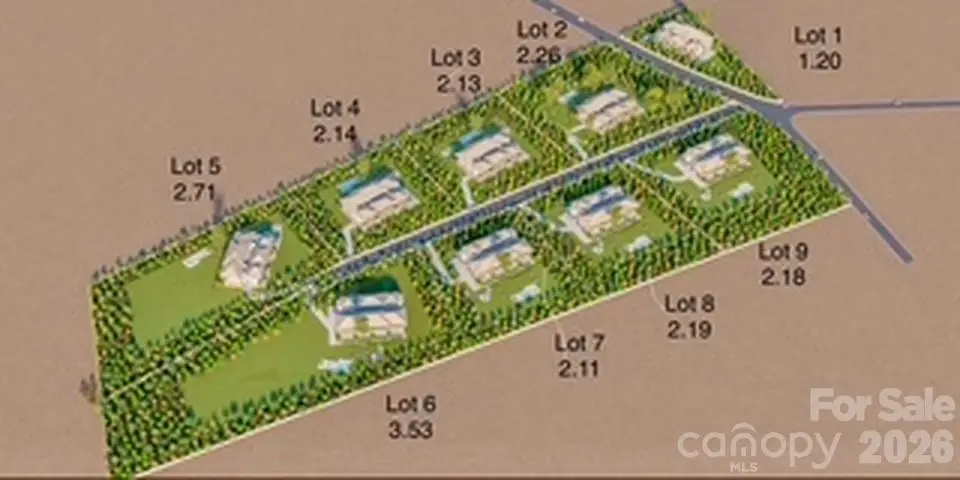 1002 Cane Manor Court, Waxhaw, NC 28173 - #1