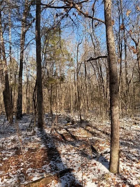 00 Stokes Ferry Road, Gold Hill, NC 28071 - #2