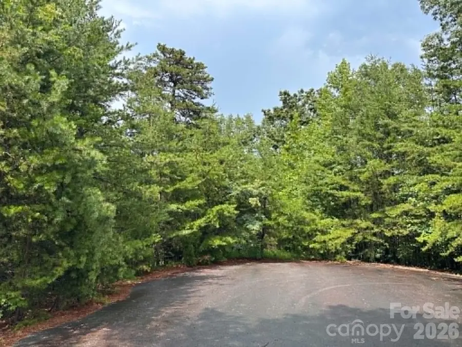 TBD Fire Tower Road, Bostic, NC 28018 - #2