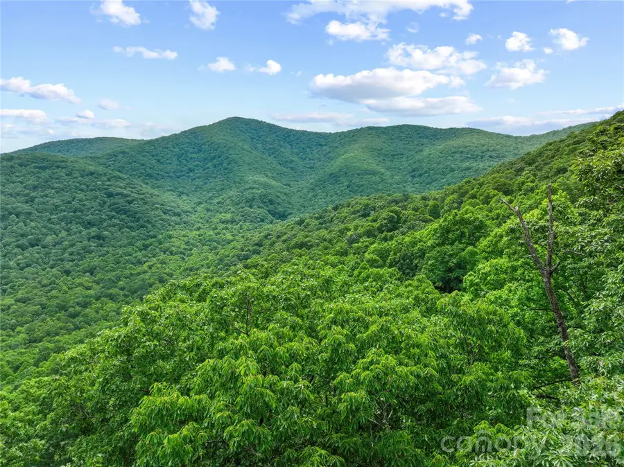 99999 Winding Poplar Road #915, Black Mountain, NC 28711 - #3