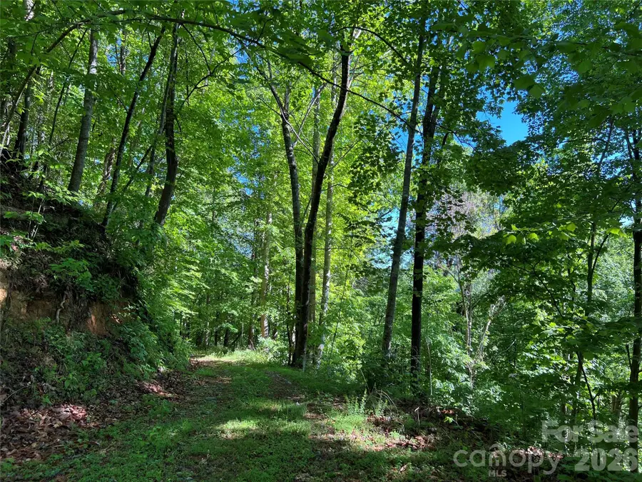 TBD Valley Drive, Lenoir, NC 28645 - #3
