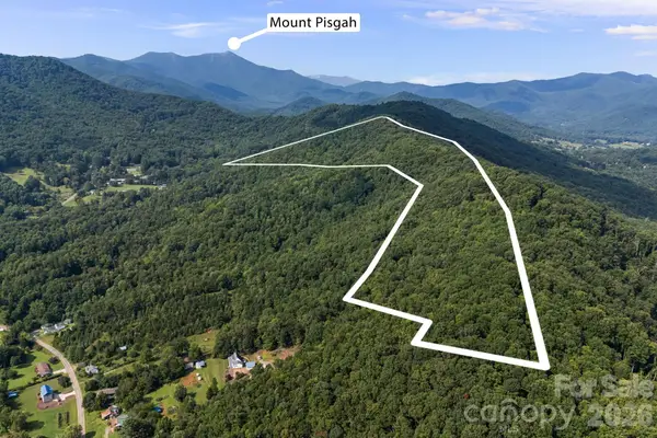 99999 Beaverdam Loop Road, Candler, NC 28715