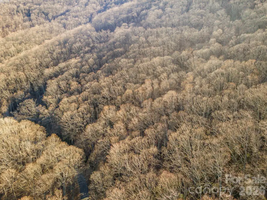 00 Wildflower Cove Road #18, Swannanoa, NC 28778 - #2