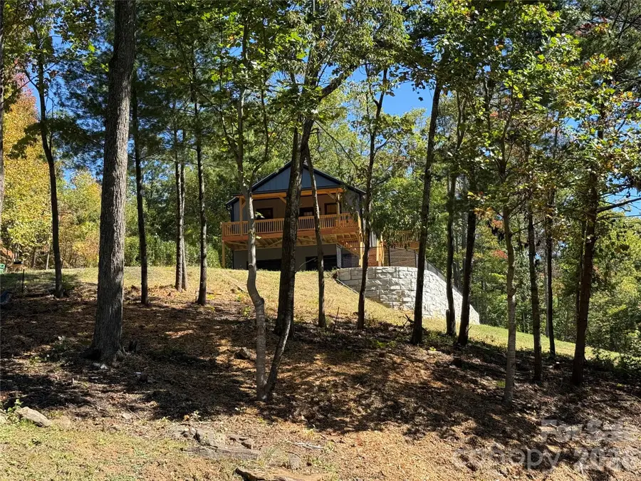 9 Nellie Bell Lane, Swannanoa, NC 28778 - #3