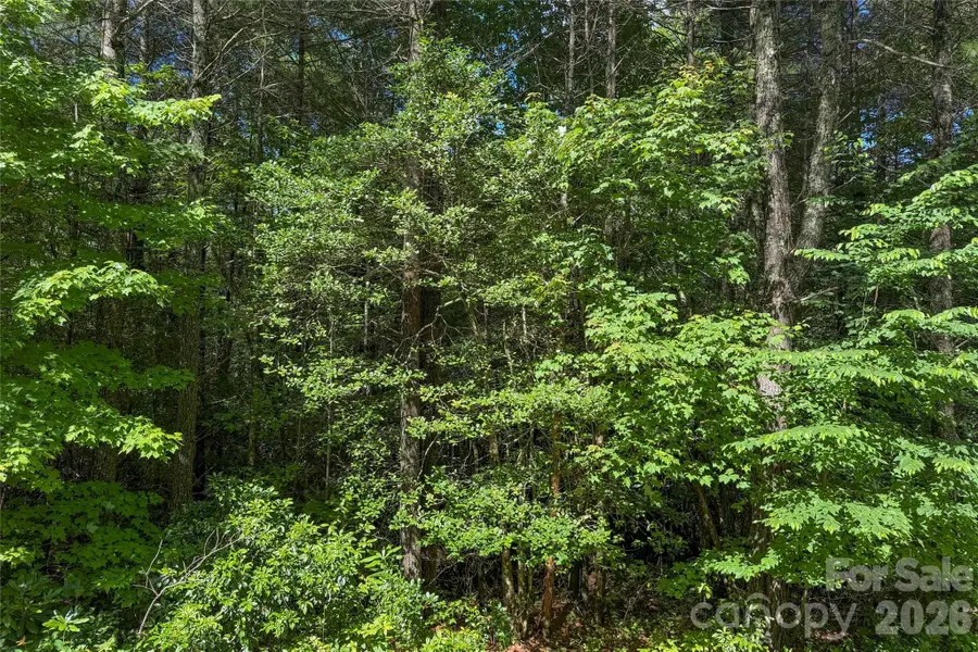 G25 Bailey Lane #G25, Sapphire, NC 28774 - #3