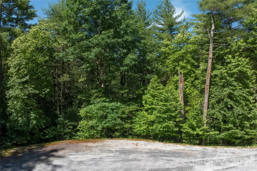G26 Bailey Lane #G26, Sapphire, NC 28774 - #3
