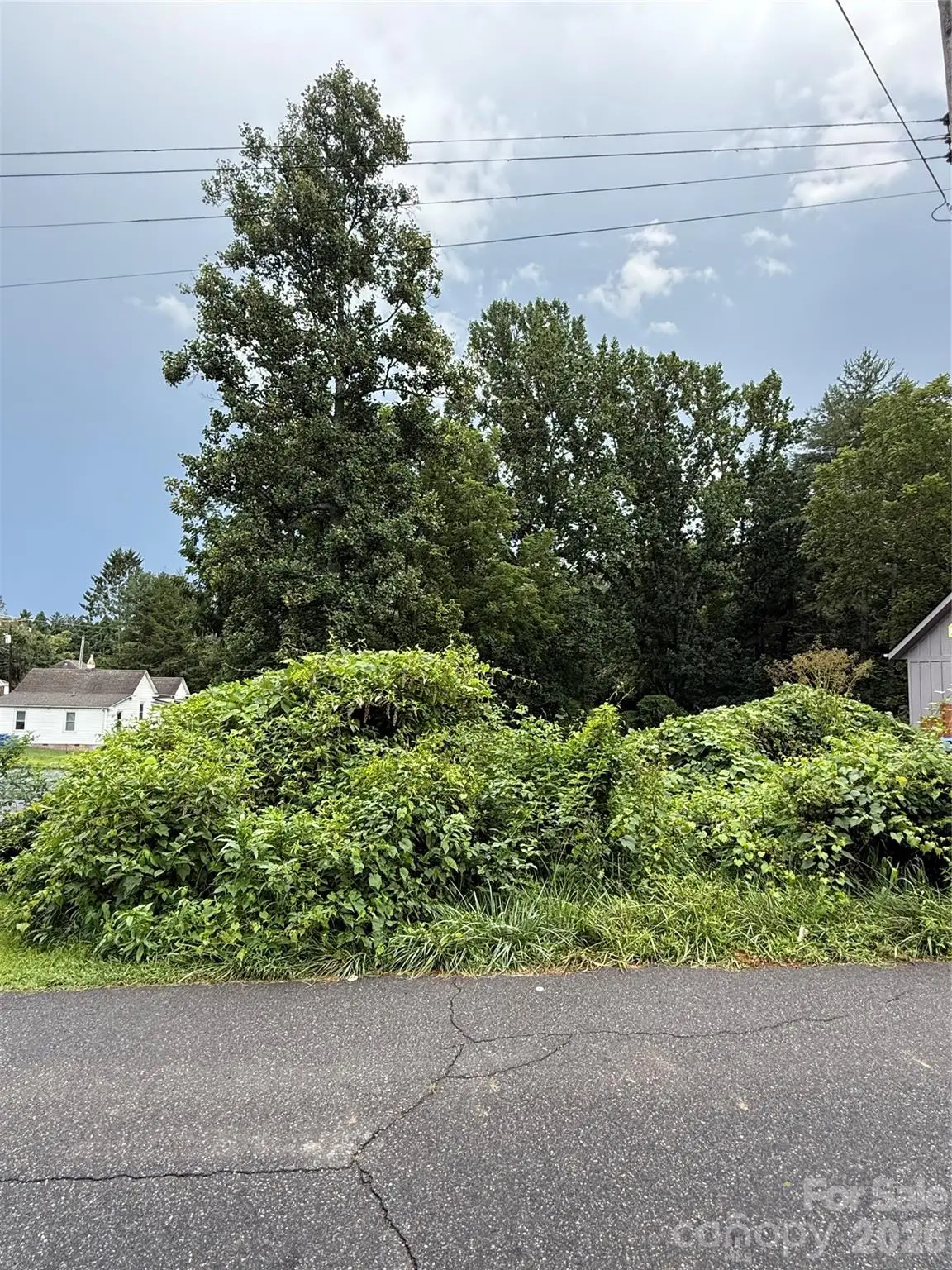 00000 Duckworth Avenue #1, Brevard, NC 28712 - #1