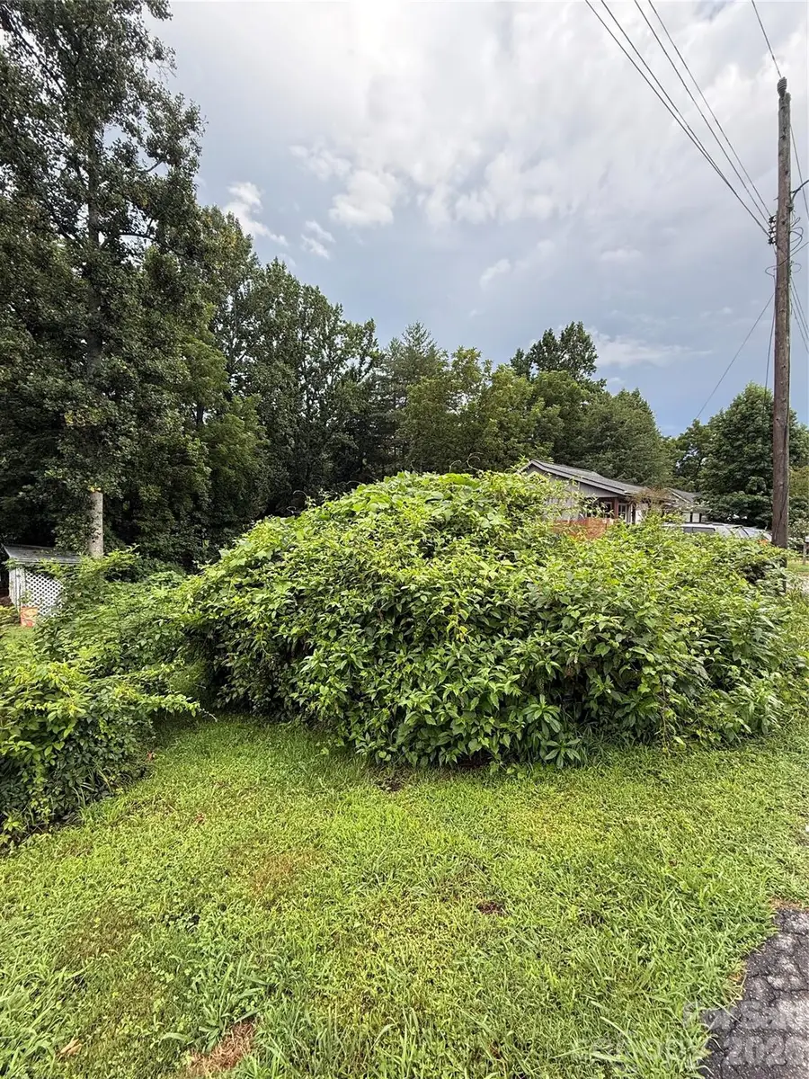 00000 Duckworth Avenue #1, Brevard, NC 28712 - #2