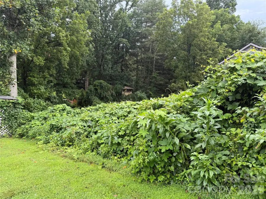 00000 Duckworth Avenue #1, Brevard, NC 28712 - #3