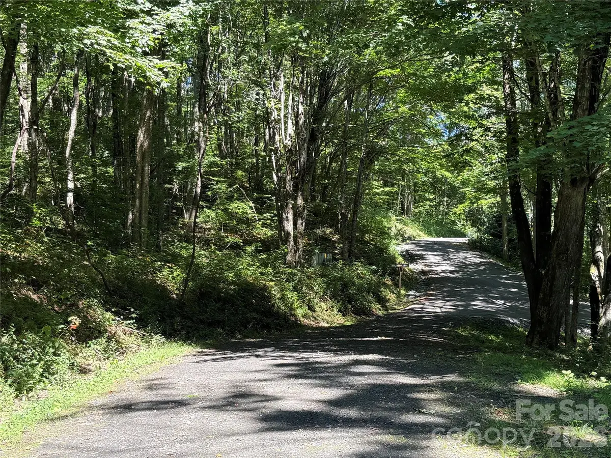 7 Wolfsbane Trail #7, Todd, NC 28684 - #1
