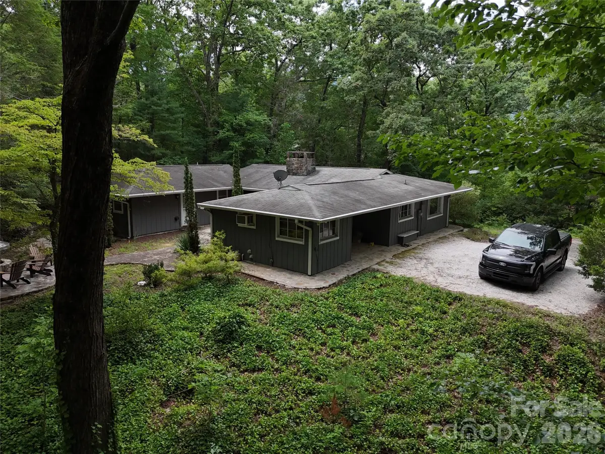 250 Luther Burbank Drive, Lake Lure, NC 28746 - #1