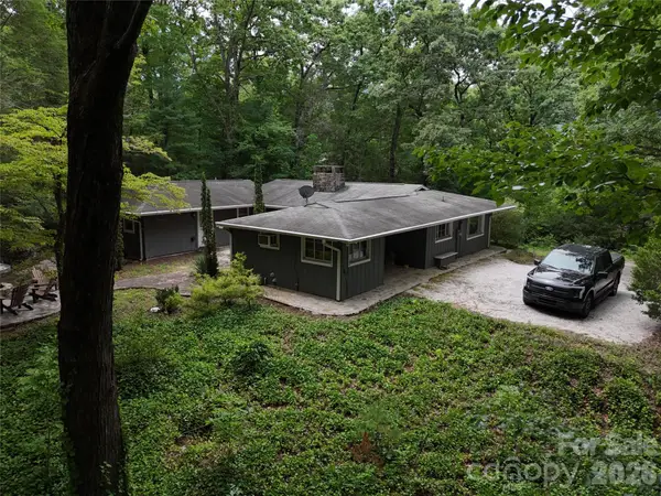250 Luther Burbank Drive, Lake Lure, NC 28746