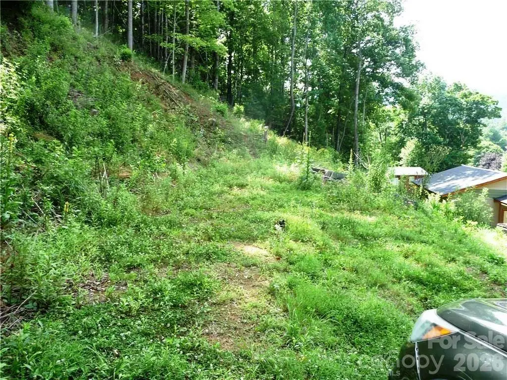 870 Bairds Creek Road, Vilas, NC 28692 - #1
