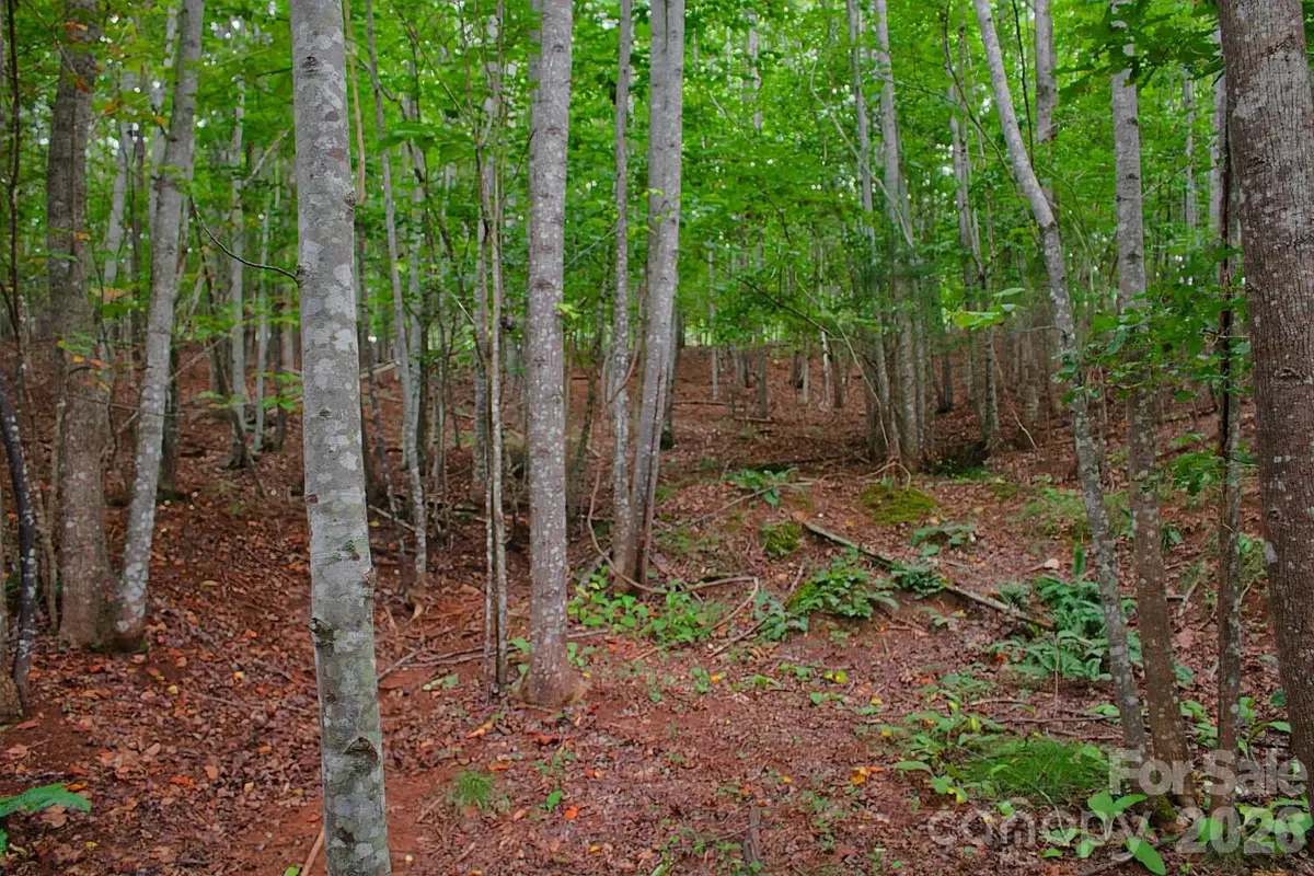 0 Creekside Circle #110, Rutherfordton, NC 28139 - #1