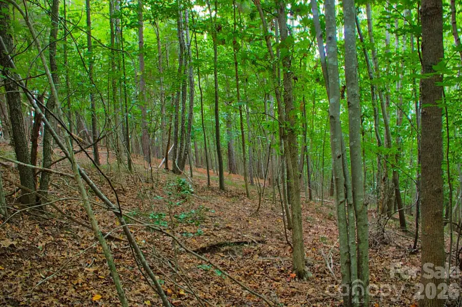 0 Creekside Circle #110, Rutherfordton, NC 28139 - #3
