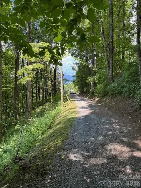 Lot 49 Rocky Ridge Road #49, Balsam, NC 28707 - #1
