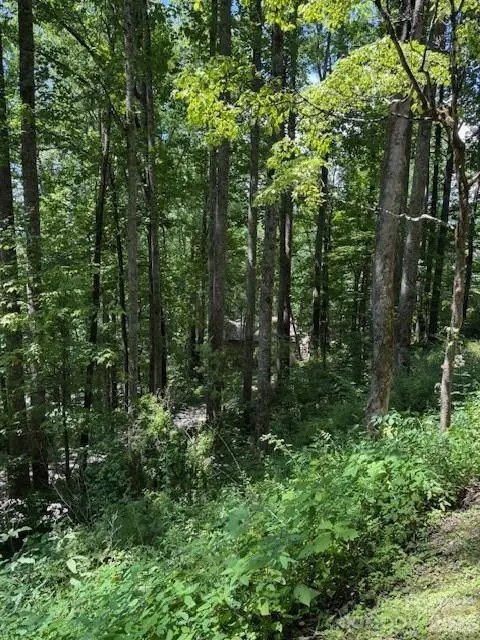 Lot 49 Rocky Ridge Road #49, Balsam, NC 28707 - #3